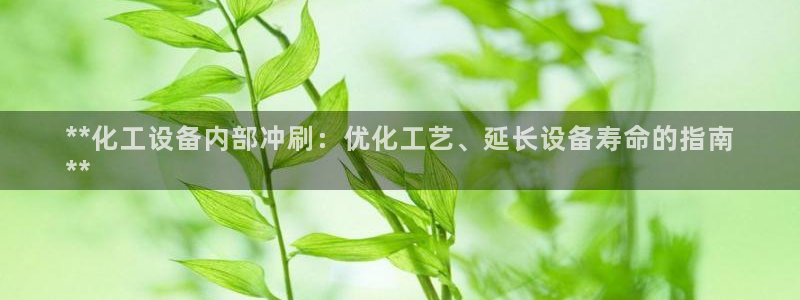 新城平台招商