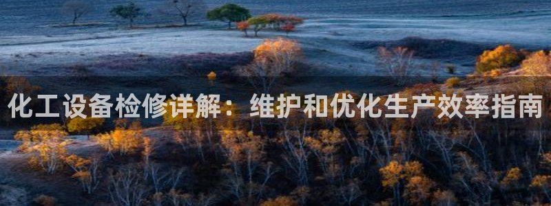 新城平台注册公司流程图