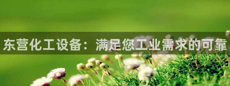 新城平台代理注册条件