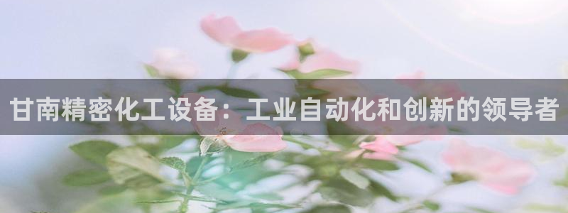 新城平台注册资金多少