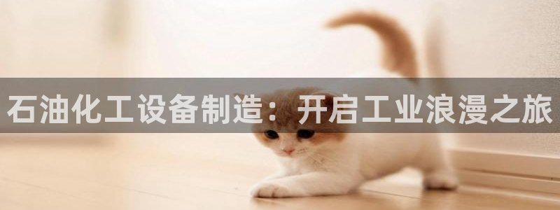 新城平台是干嘛的公司有哪些