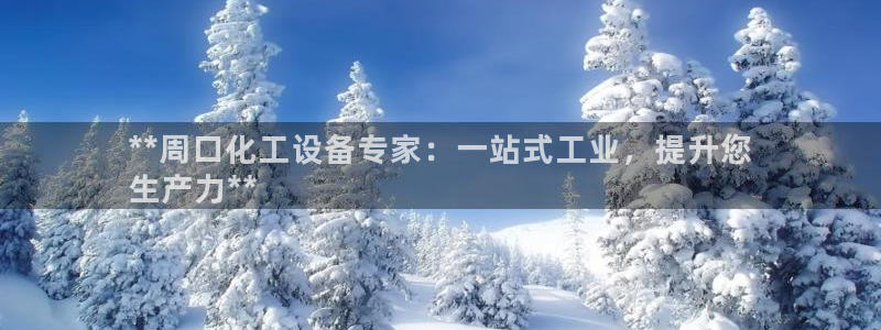 新城平台主管