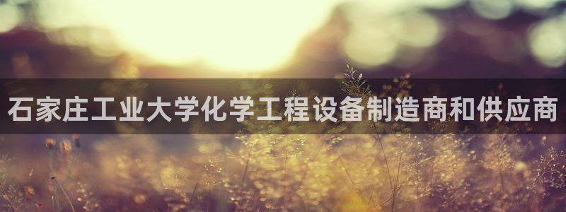 新城平台是干嘛的