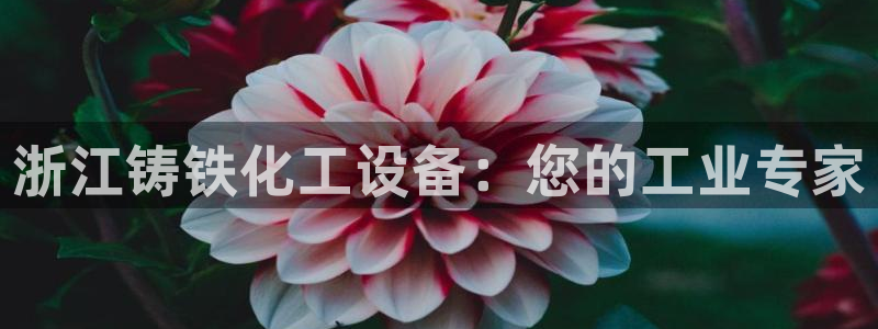新城平台登录入口官网下载手机版