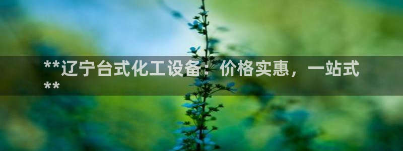 新城平台注册公司流程