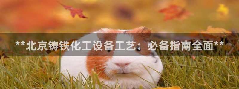 新城平台线路检测中心
