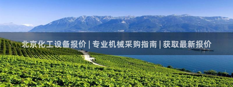 新城平台注册公司流程