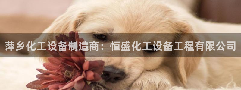 新城平台官网首页登录