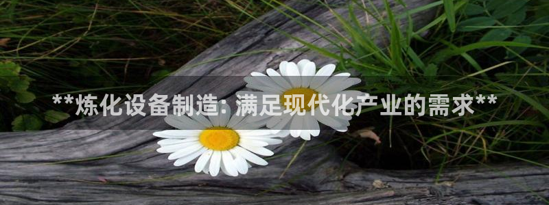 新城平台登录入口官网查询信息