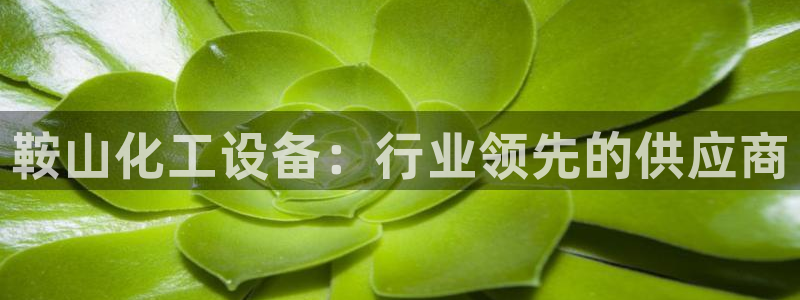 新城平台登录入口官网查询网址