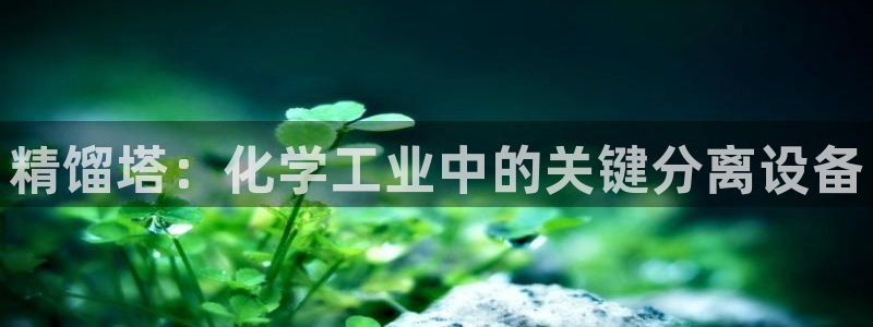 新城平台价7O777