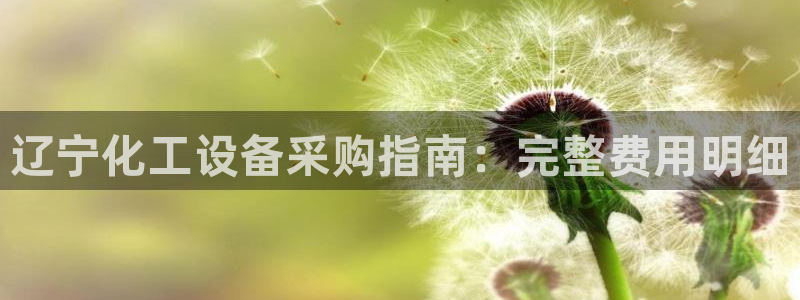 新城平台注册流程及费用