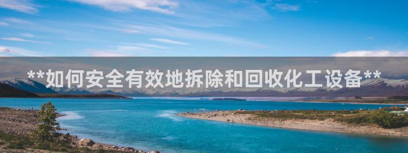 新城平台是干嘛的公司有哪些