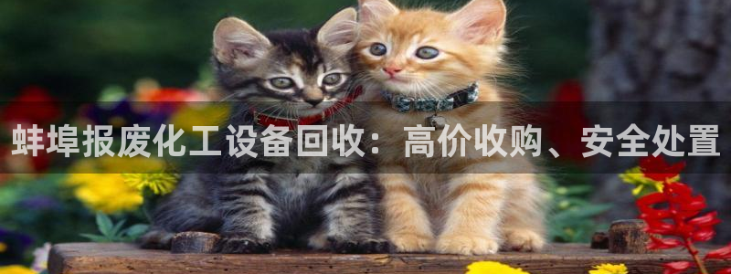 新城平台注册登录地址是什么