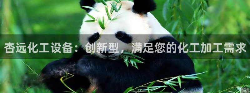 新城平台官网