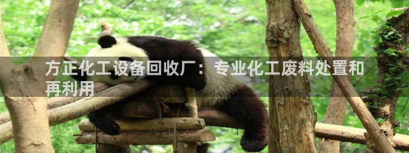 新城平台官网首页登录