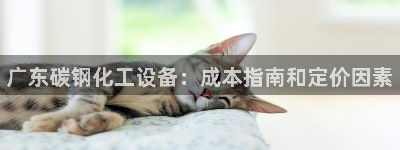 新城平台公司