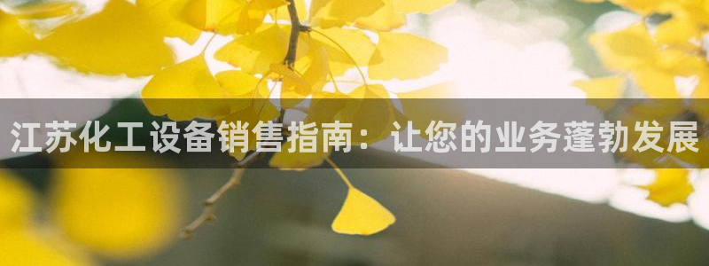 新城平台登录入口官网下载安装