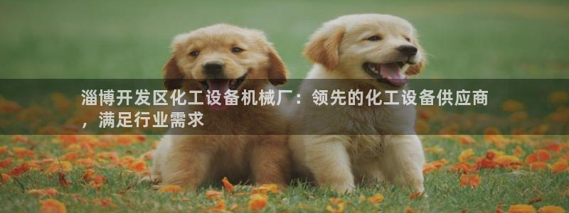 新城平台属于哪个系列