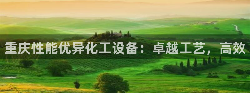 新城平台平台