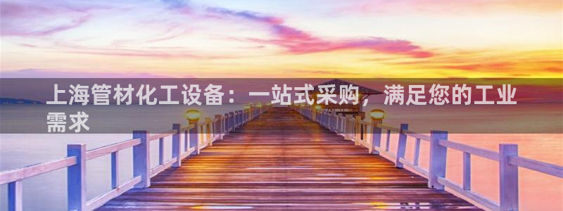 新城平台登录入口官网首页