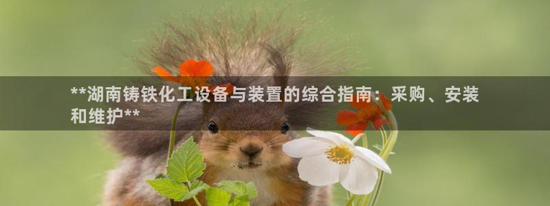 新城平台招商
