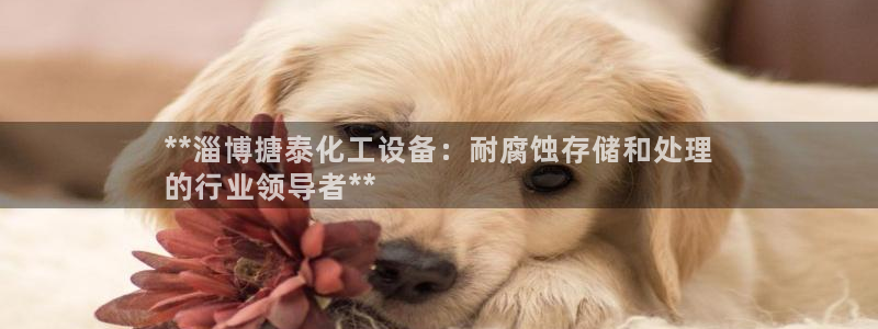 新城平台登录入口官网网址是多少