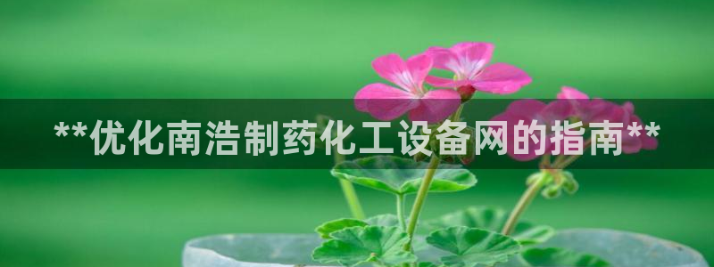 新城平台新注册