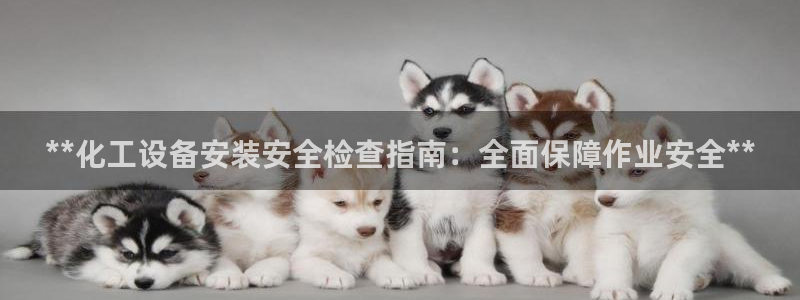 新城平台总代