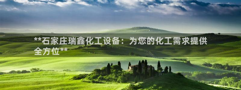 新城平台登录入口官网网址是多少