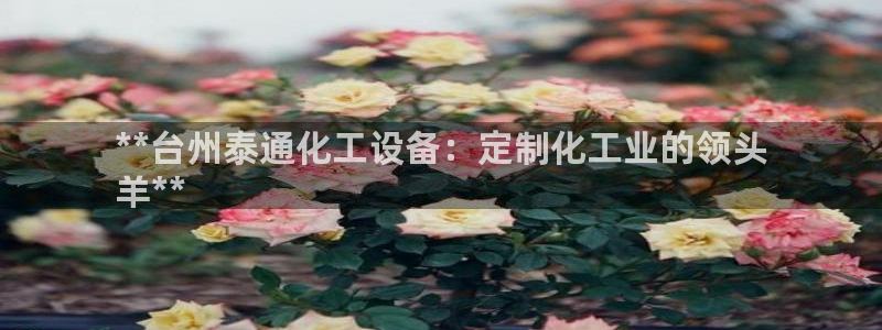 新城平台登录入口官网网址是多少