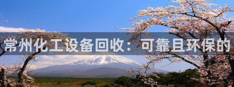 新城平台登录入口官网网址查询