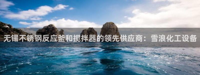 新城平台官网首页网址