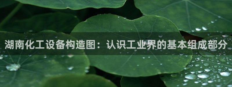 新城平台足7O777