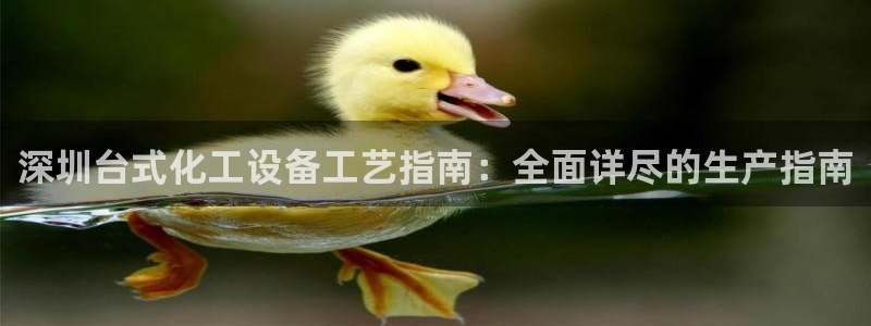新城平台注册公司流程及费用