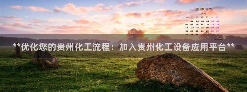 新城平台登录入口官网首页