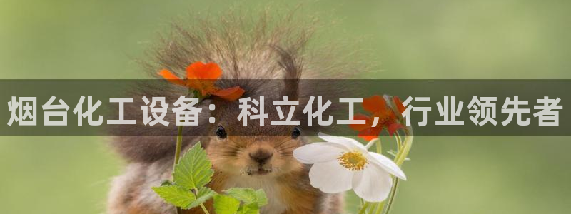 新城平台授权注册