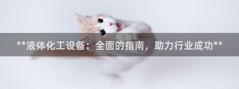 新城平台登录密码忘了怎么找回