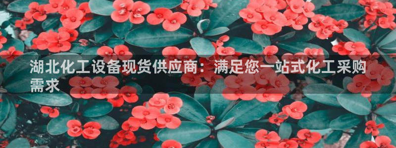 新城平台主管