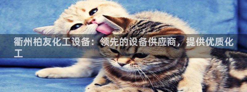新城平台公司