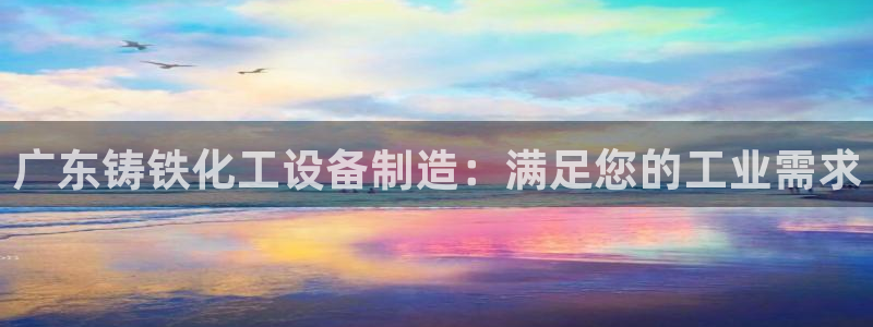 新城平台是干嘛的公司