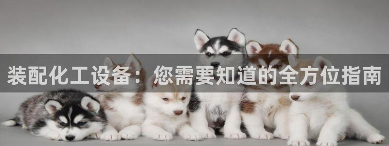新城平台登录入口官网网址