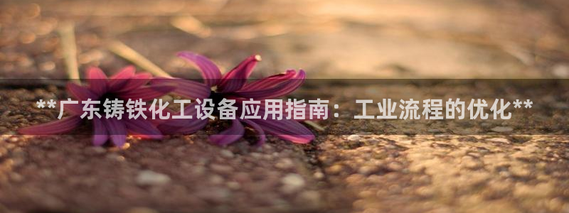 新城平台官网首页登录