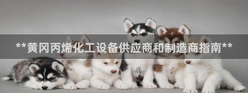 新城平台线路登录不上去