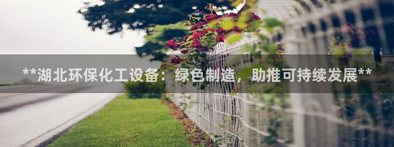 新城平台注册公司流程图