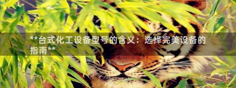 新城平台注册流程图