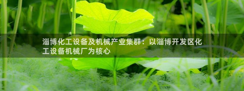 新城平台登录密码忘了怎么找回
