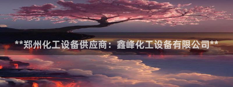 新城平台是干嘛的公司啊