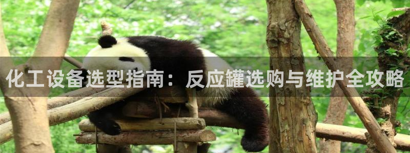 新城平台登录入口官网查询网址