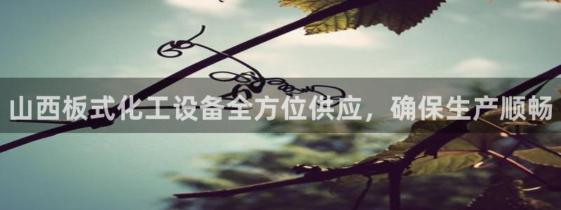 新城平台注册公司流程图
